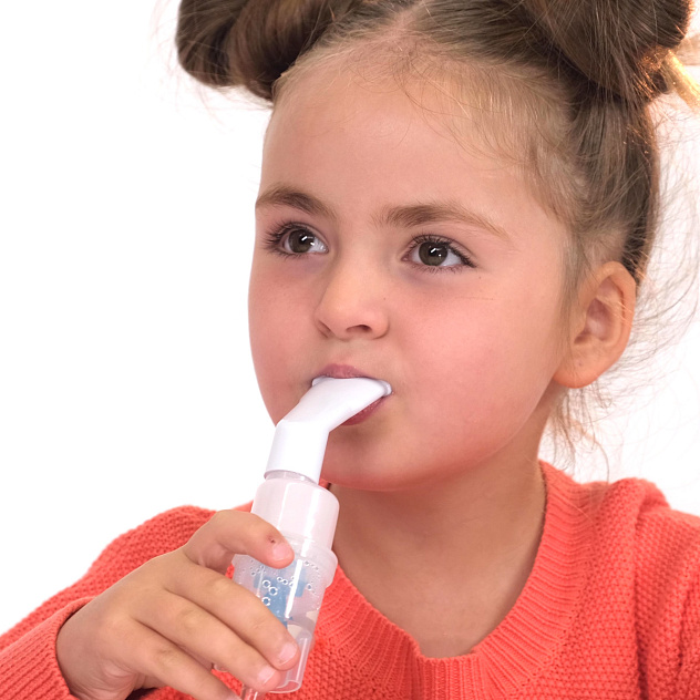 Ингалятор Little Doctor LD 220С компрессорный (3 распылителя)